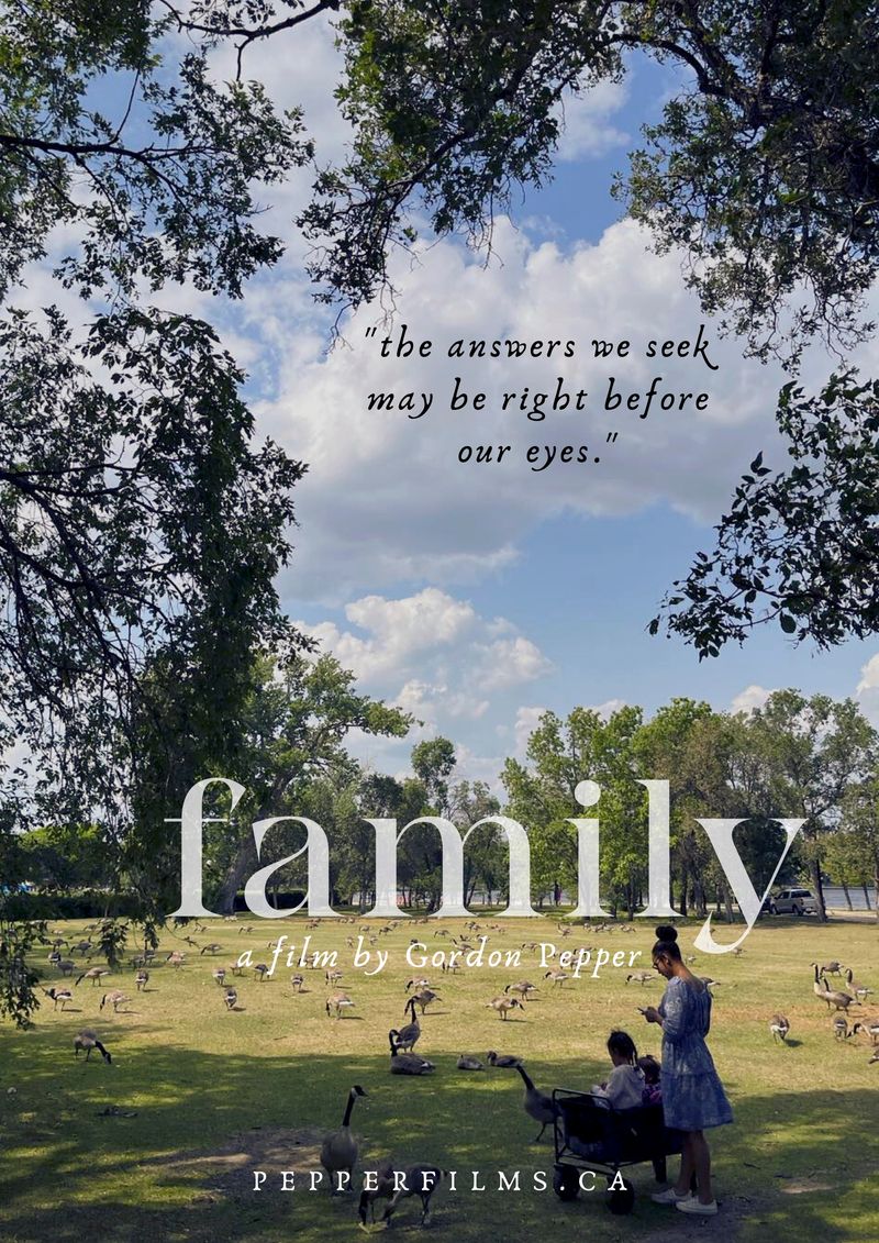 Movie poster: Young woman and kids watch geese in the park.